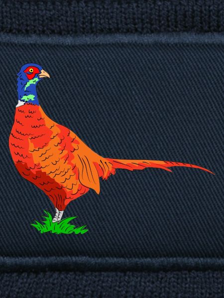 fasan vogel jäger