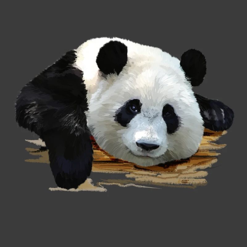 panda
