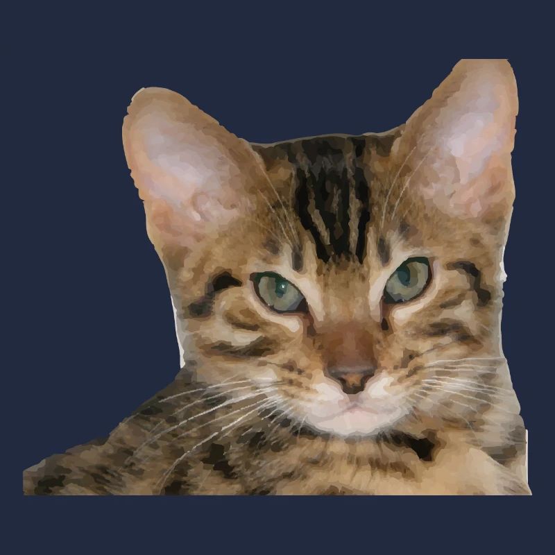 J’aime mon chat guépard