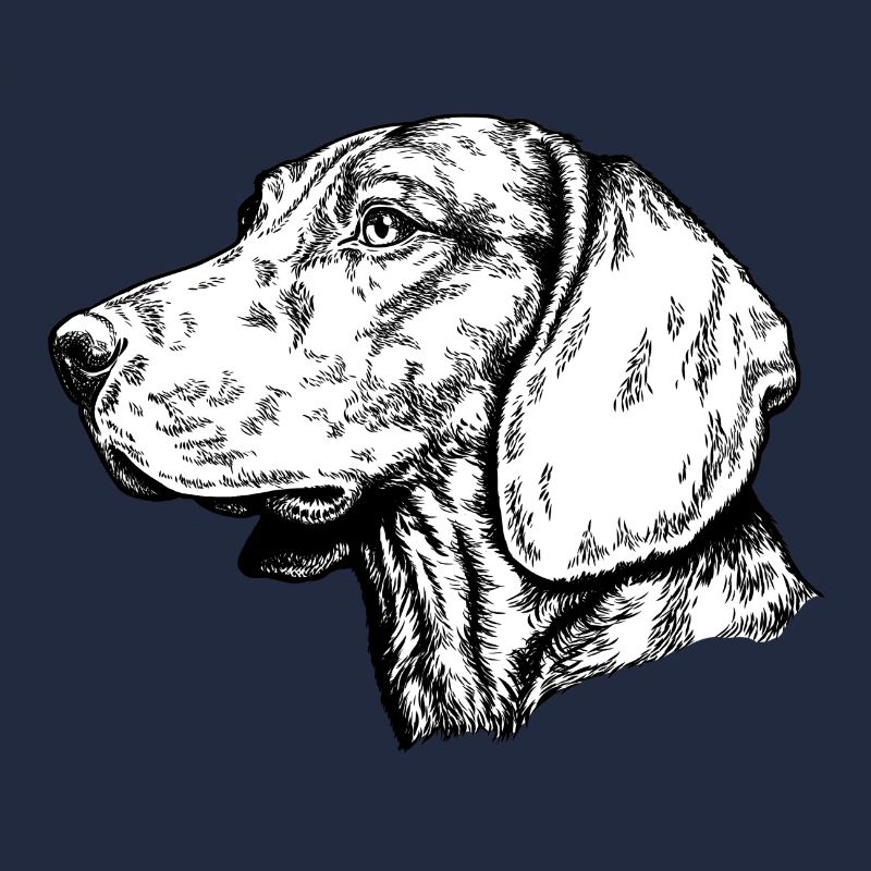 Schweisshunde Portrait
