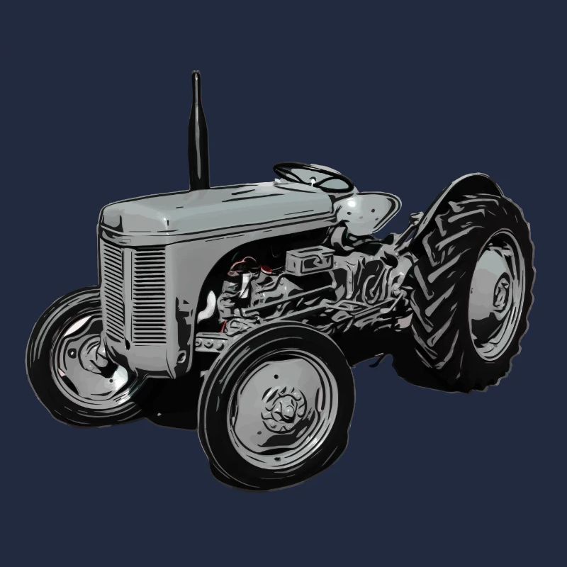 Alter Fergie TE20 Traktor