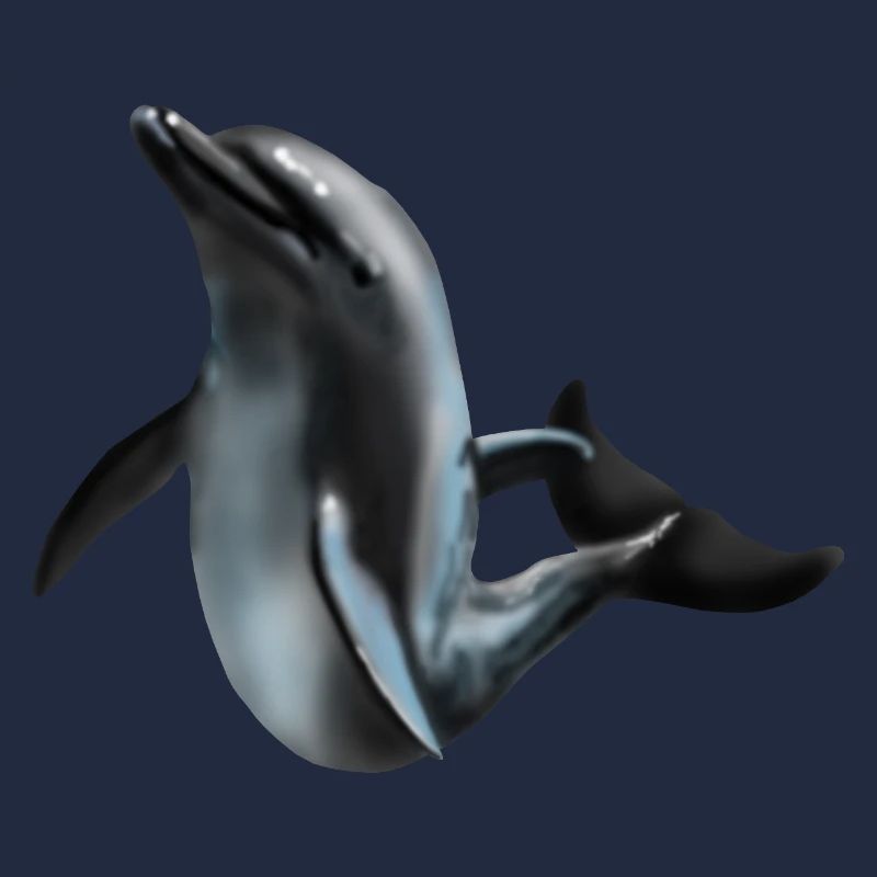 Dolphin in Night Light Silhouette Art