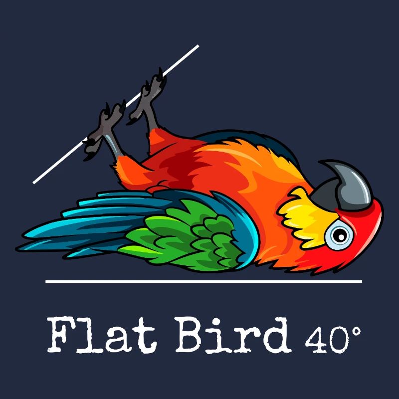 Flat Bird à 40 degrés