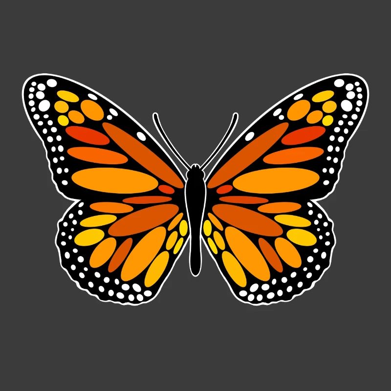 Monarch-Falter