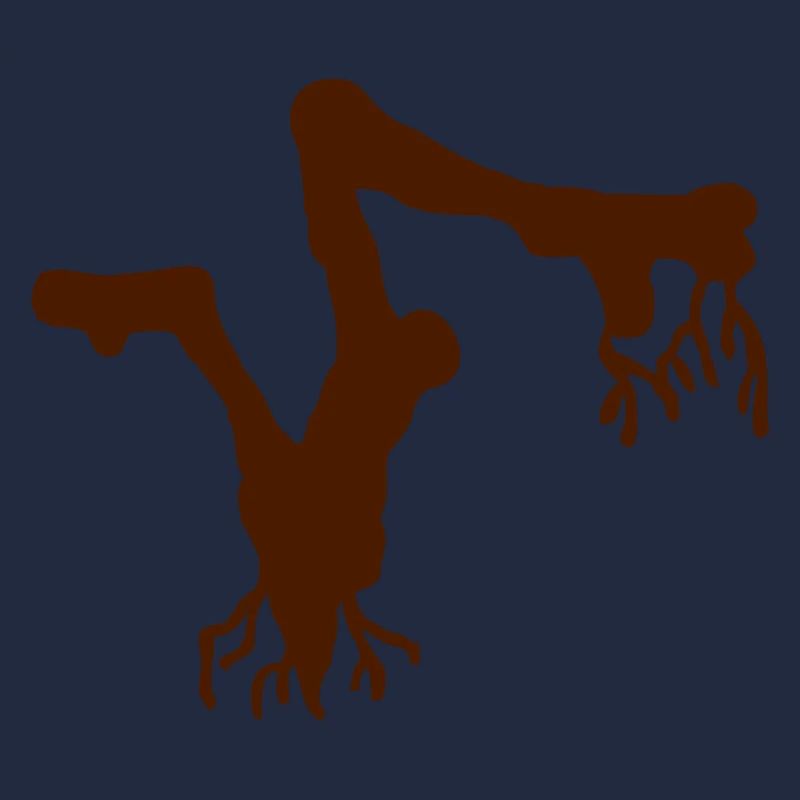 Root