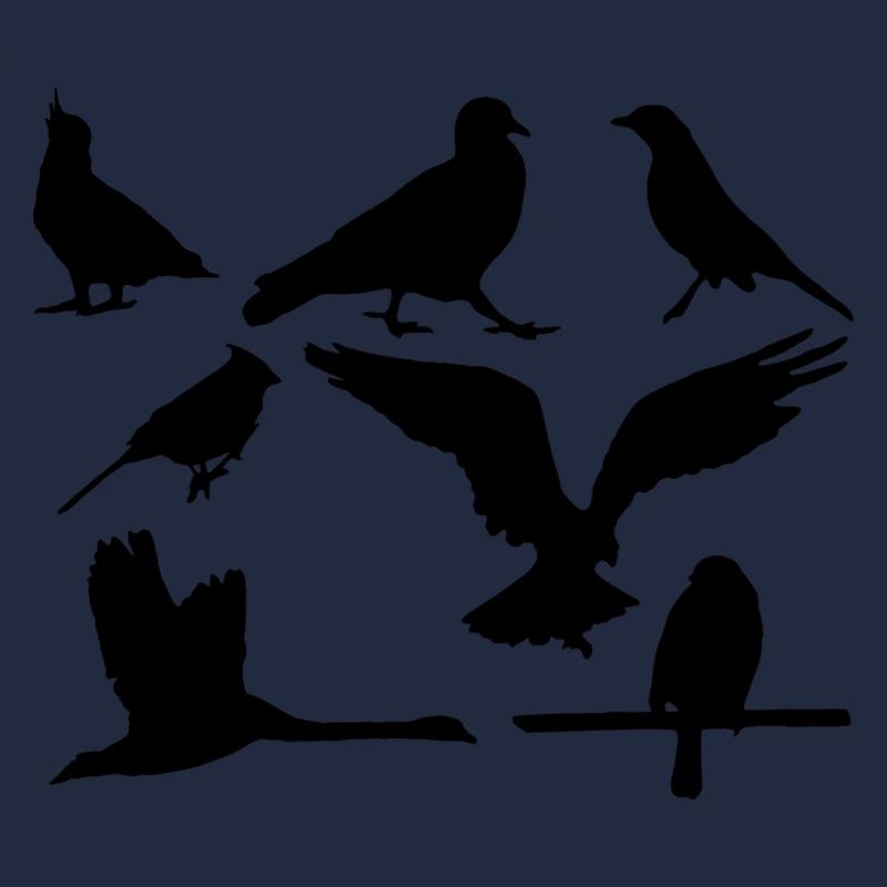 Vögel