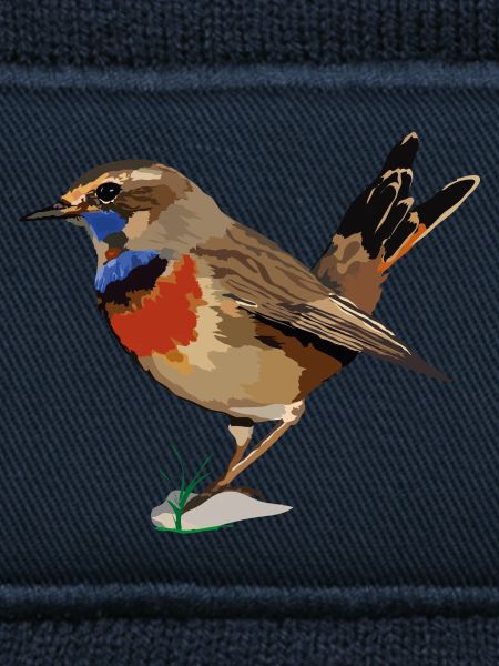 Blaukehlchen_Luscinia svecica