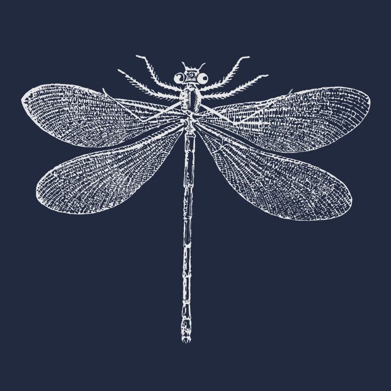 Libelle