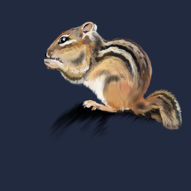 chipmunk