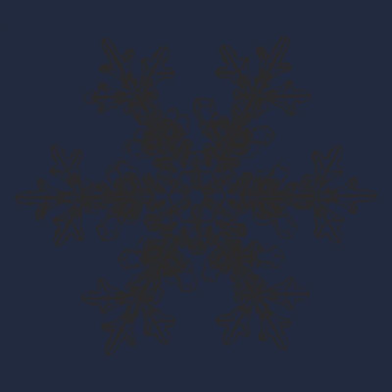 snowflake 7 black