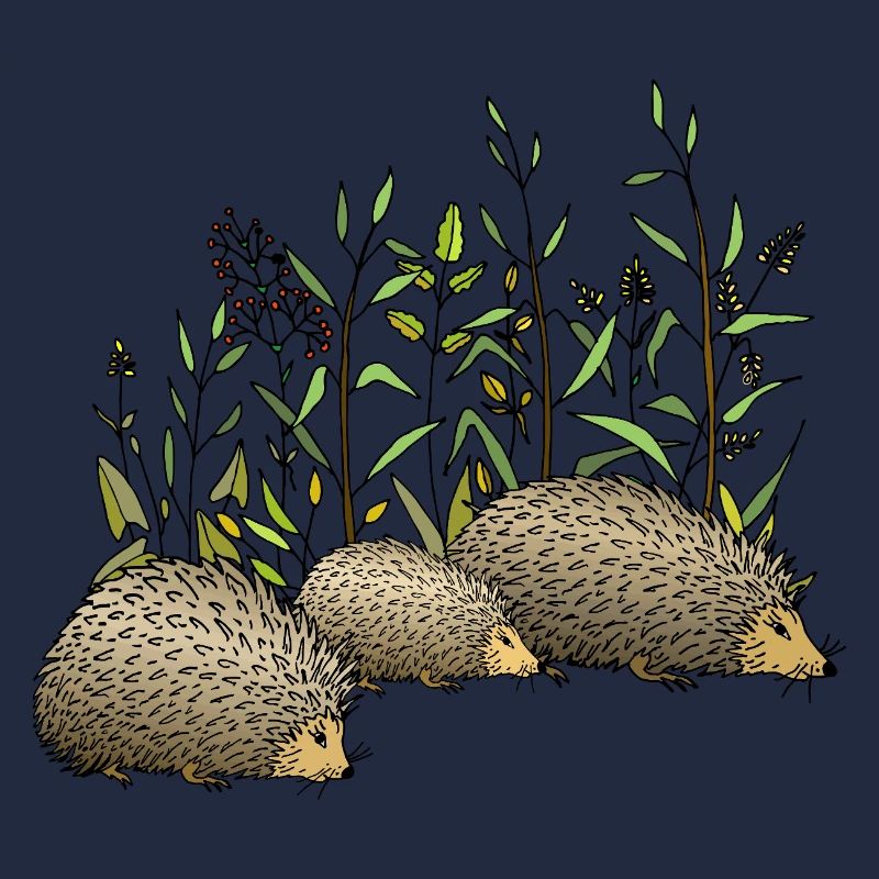 Hedgehogs