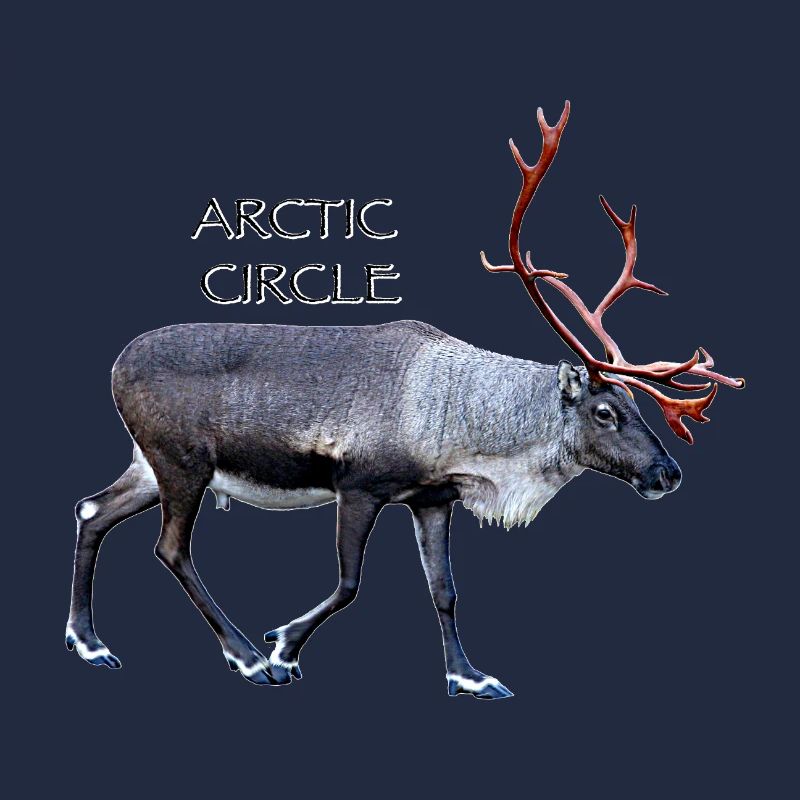 Cercle arctique