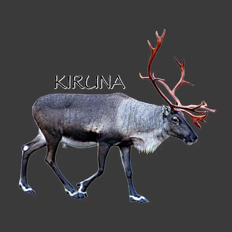Kiruna