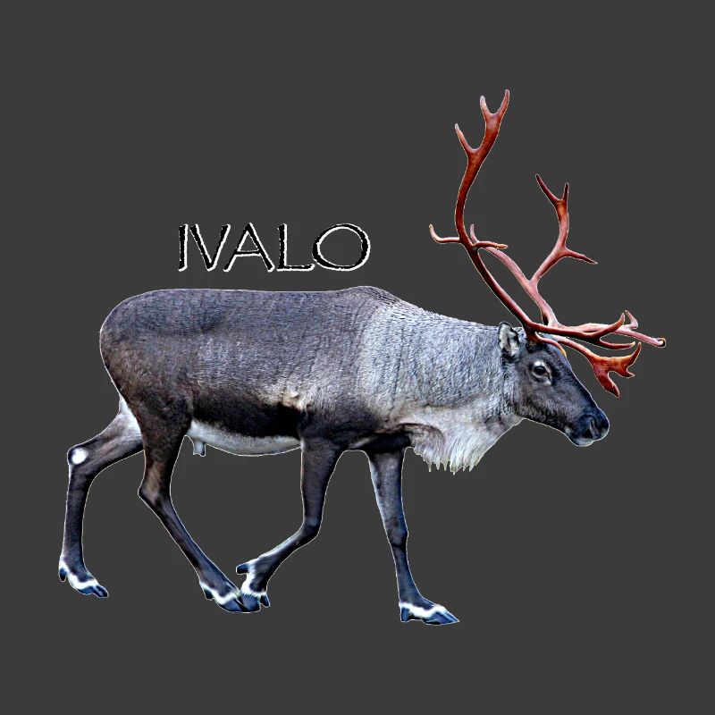 Ivalo