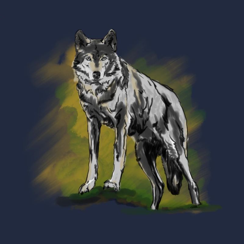 Wolfsblick und Naturkunst