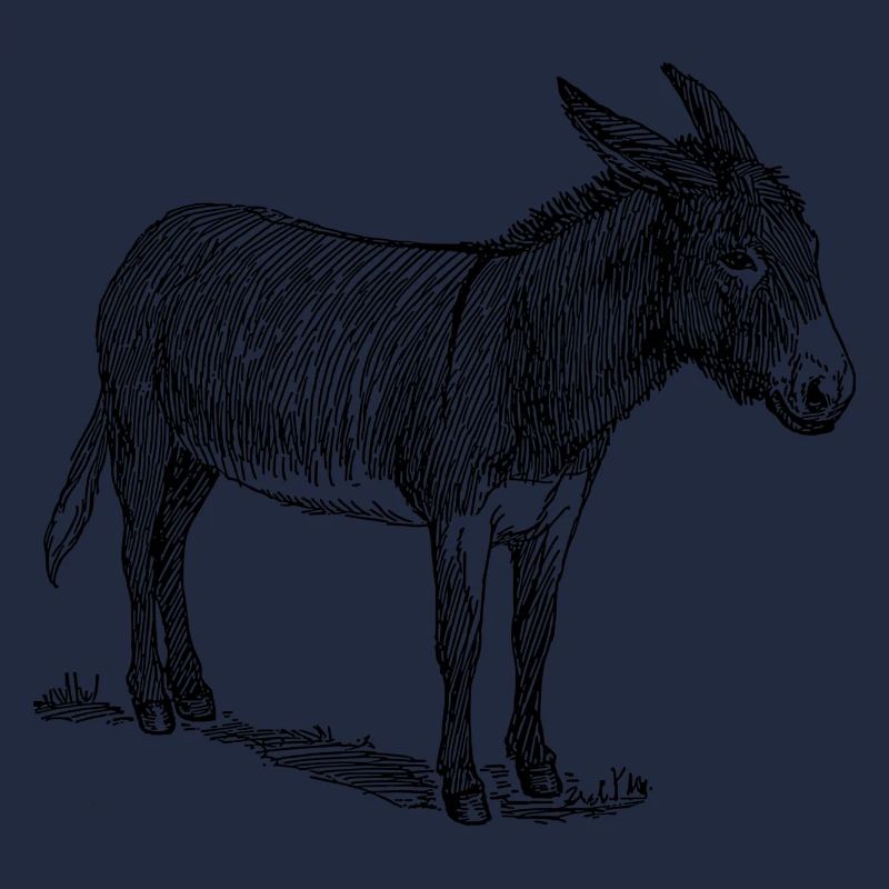 baudet