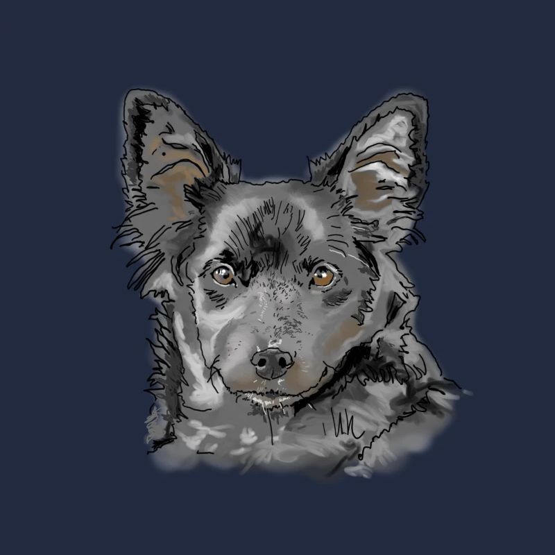 Australian Shepherd