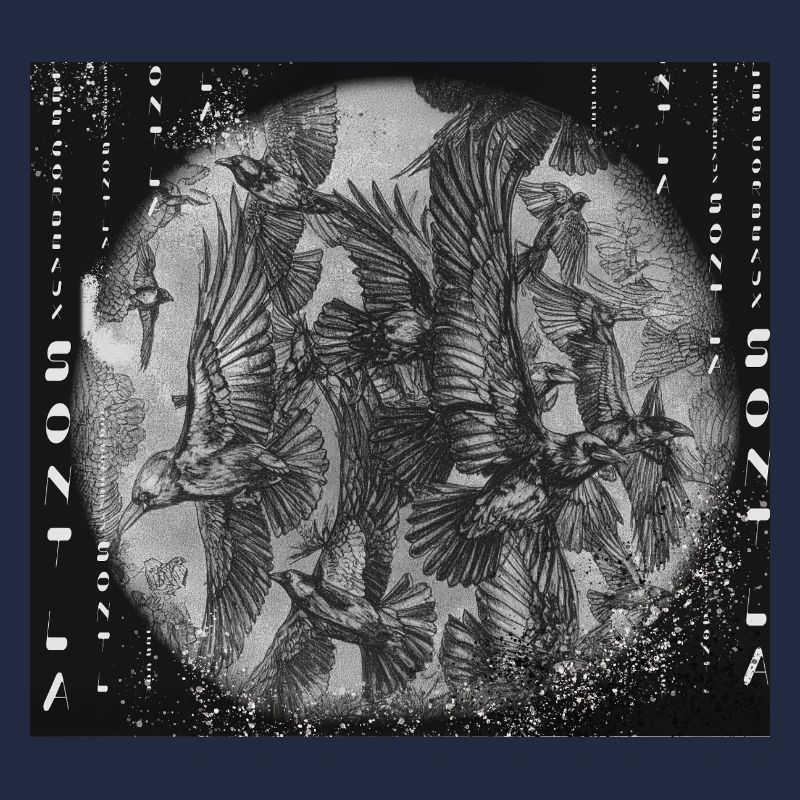 Les oiseaux