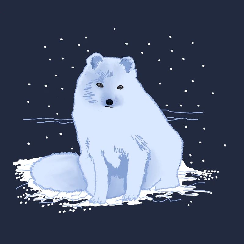 Arctic fox in the snow