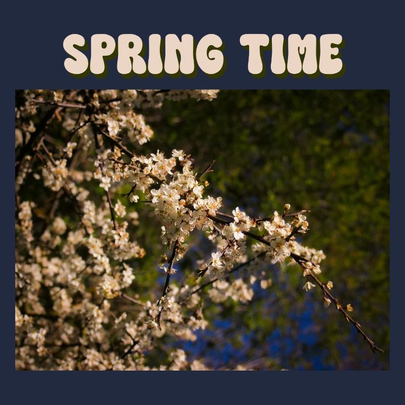 Spring Time