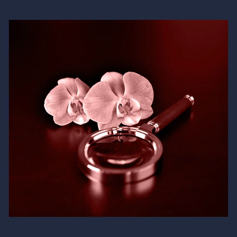Orchideenblüten und Lupe
