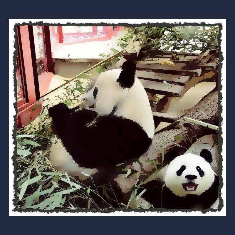 Mode Panda activé