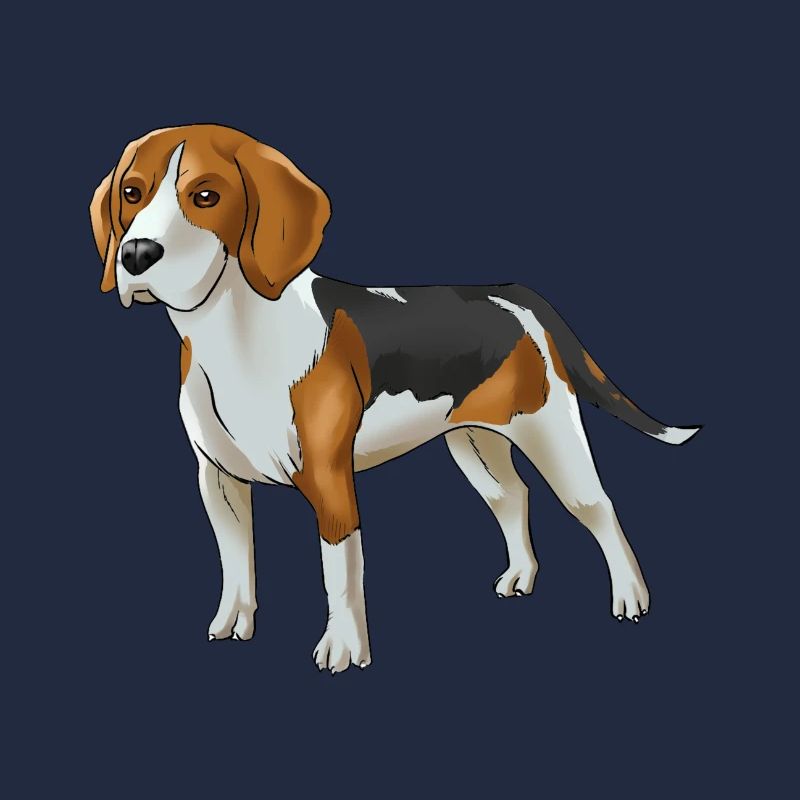 Beagle Hund