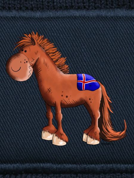 Isländer mit Fahne