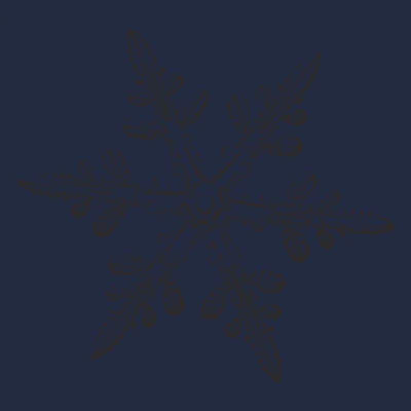 snowflake 8 black