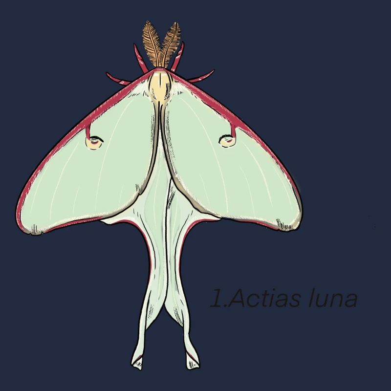Schmetterling