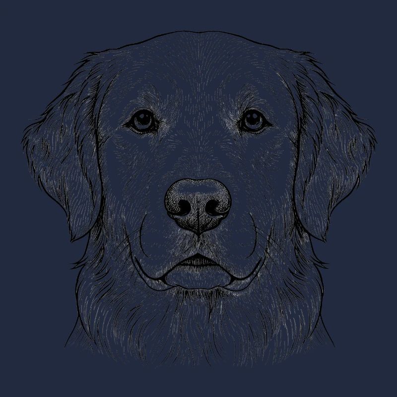 Golden Retriever Hund
