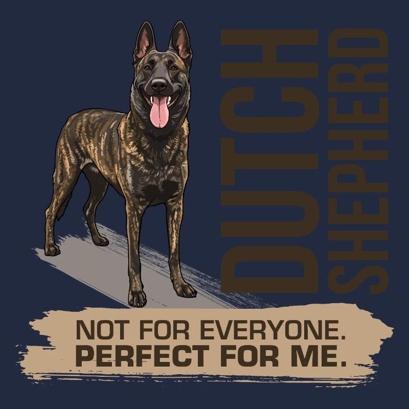 Dutch Shepherd - Dutchie 