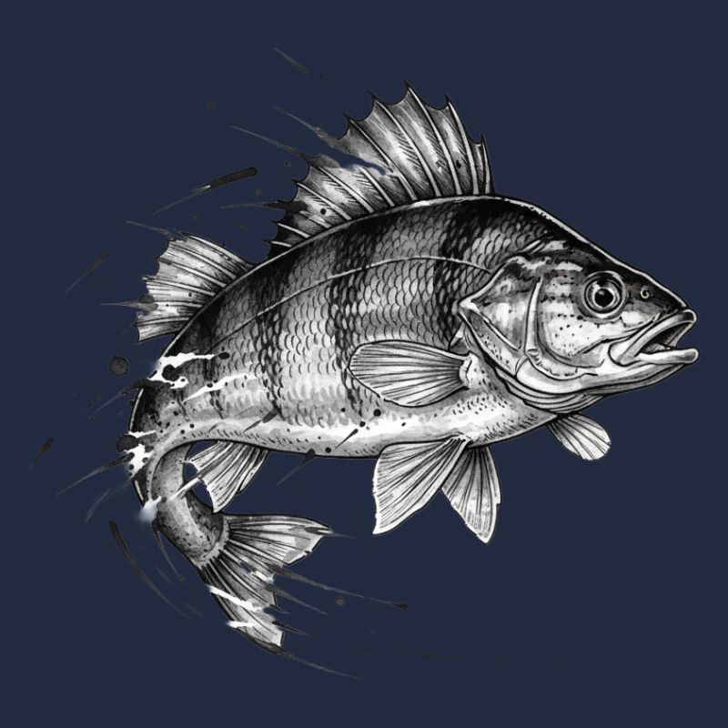 Perche Perch Ink Tattoo Vector de pêche