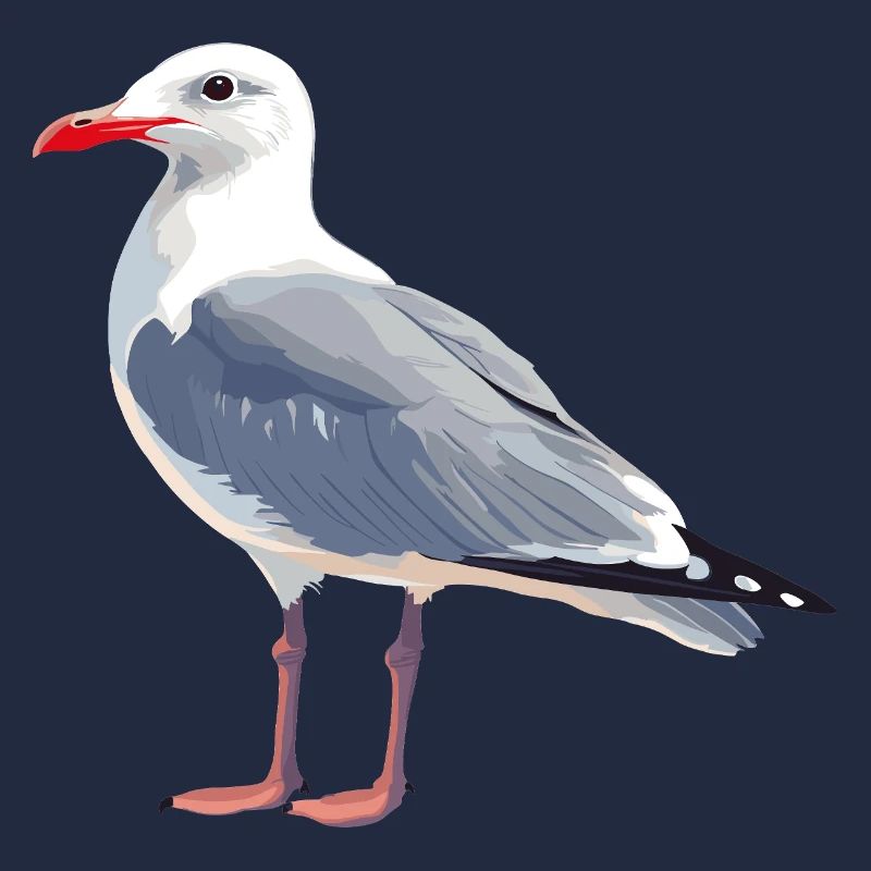Mouette