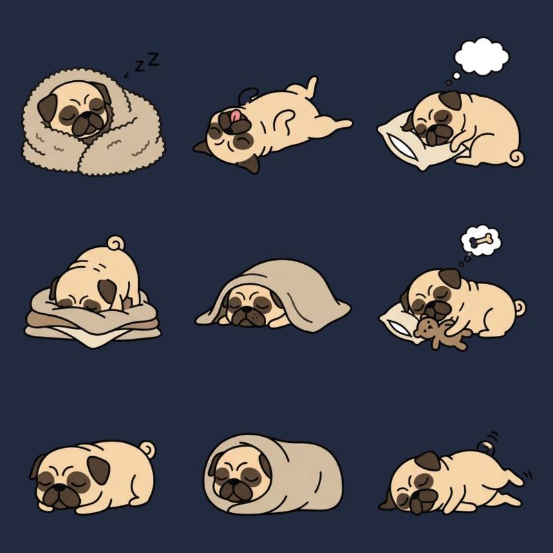 Sleeping Pug Nine Cute Pug Sleeping Poses
