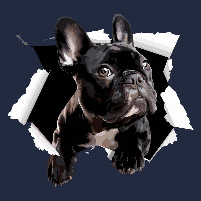 Percée du bouledogue français Drôle