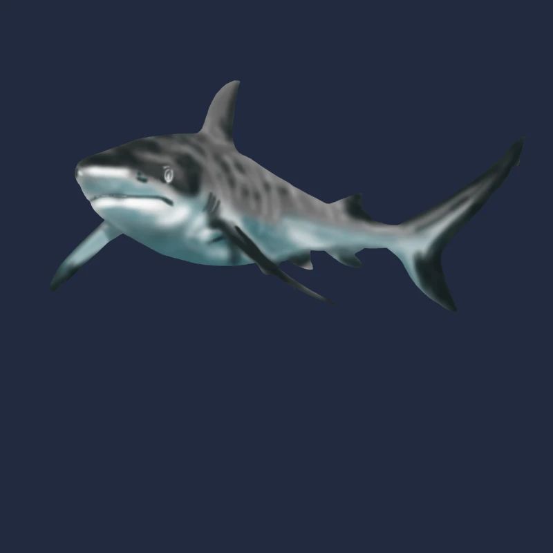 Hai