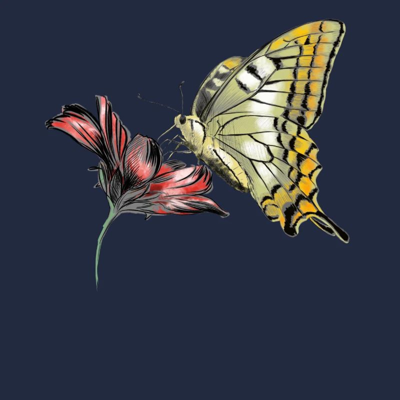 Schmetterling