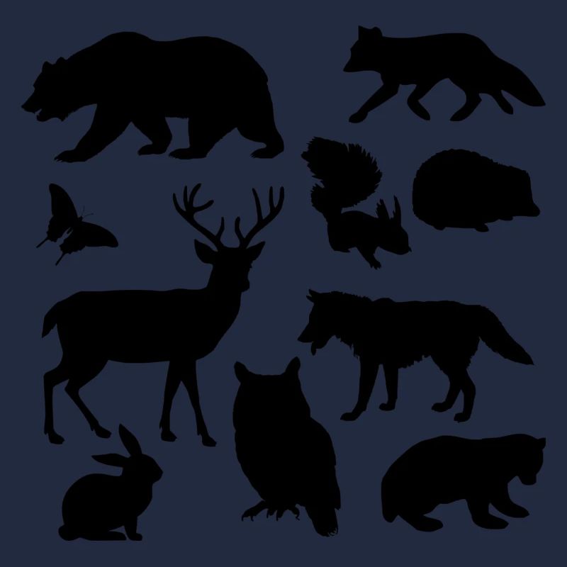 Wildlife