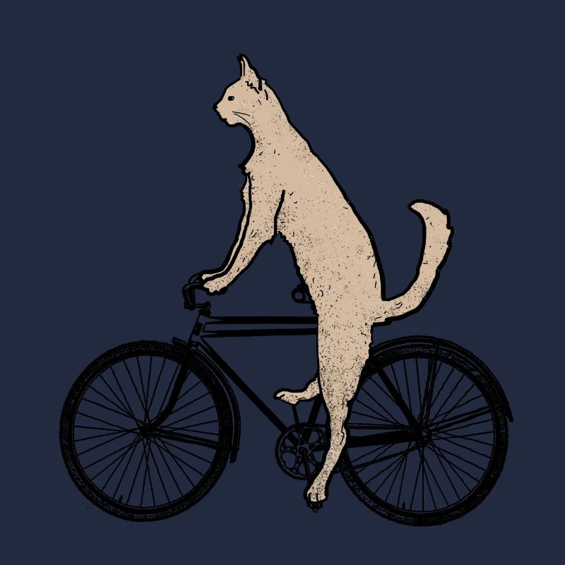 Chat sur le vélo
