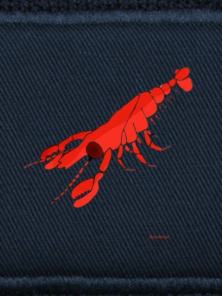 Hummer / Lobster