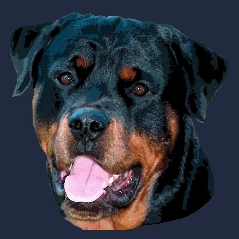 rotti