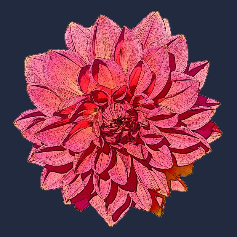 Große Dahlia