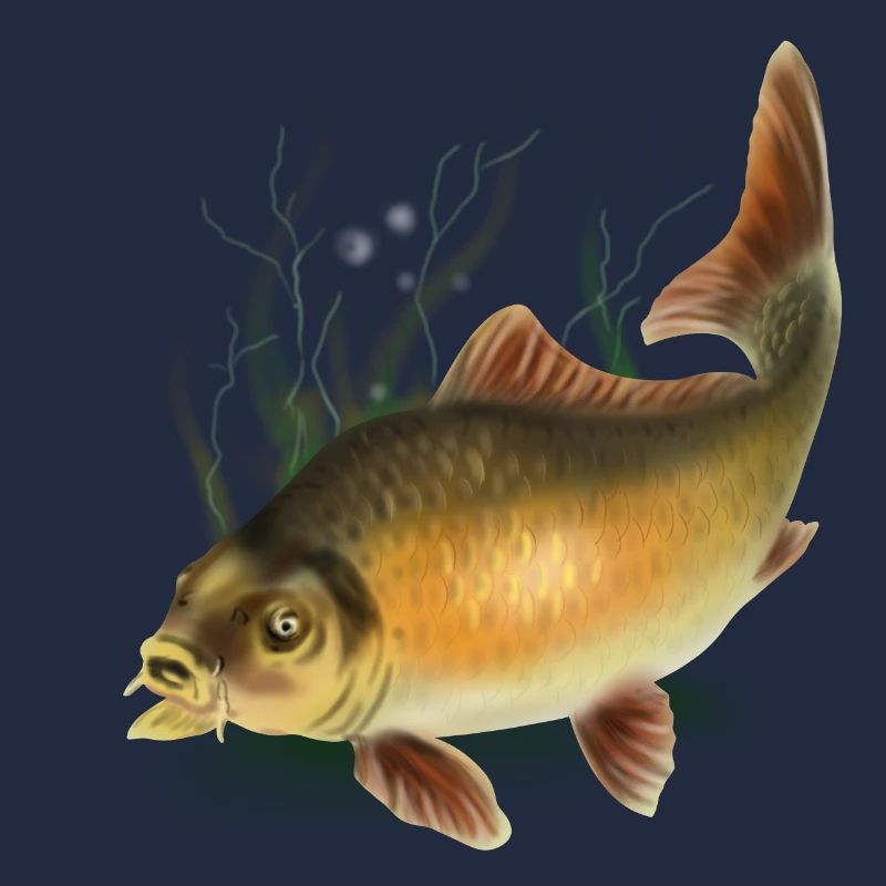 carp