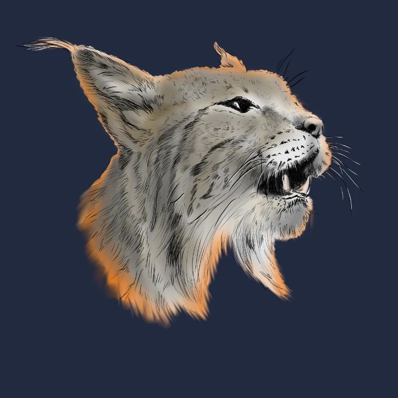 lynx