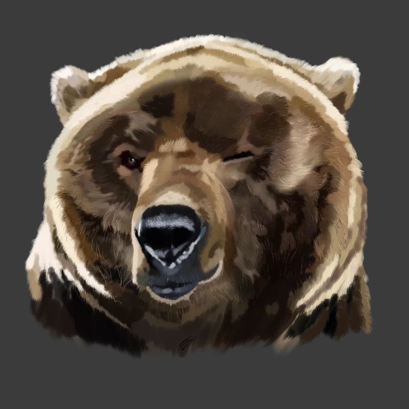 bear