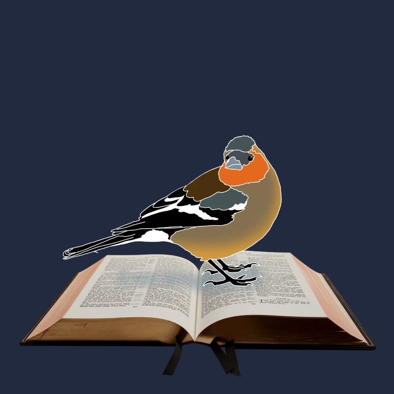 Chaffinch on book