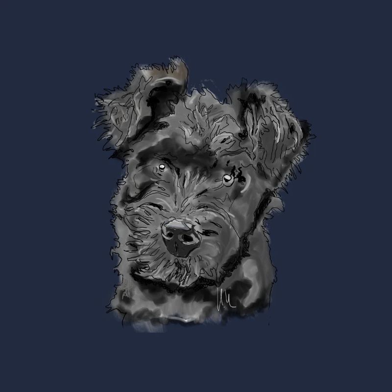 Pumi