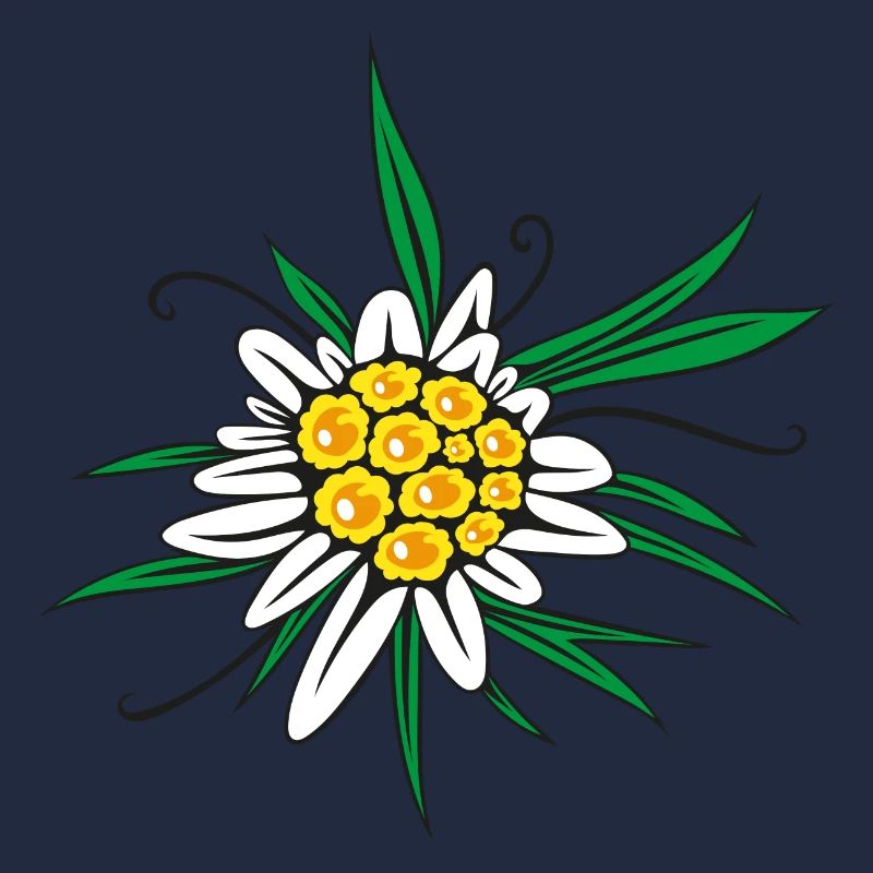 Edelweiss Blume Blüte
