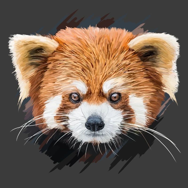 Roter Panda